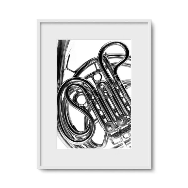 French Horn, Musical Instrumental Series - Ferenc Berko