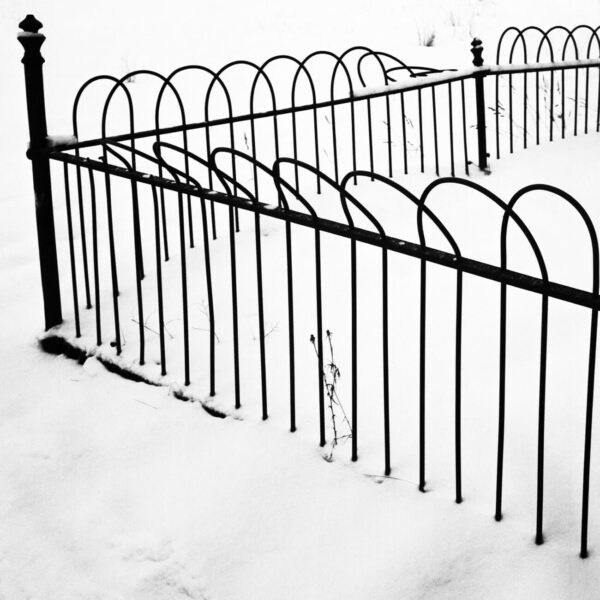 Snow Covered Fence, 5 - Ferenc Berko