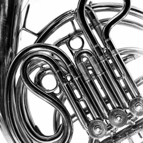 French Horn, Musical Instrumental Series